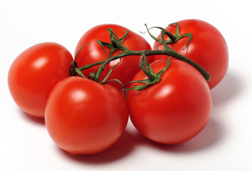 tomatoes