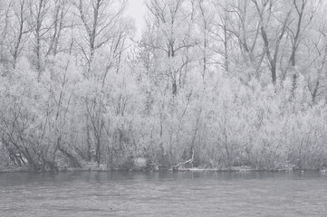 Winter morning on the river