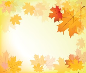 Naklejka na ściany i meble autumn maple leaves frame, background