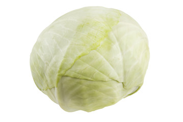 Fototapeta premium Cabbage