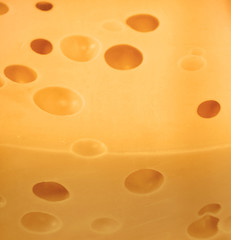 Cheese.
