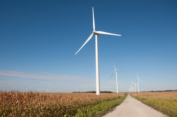 Fototapeta premium Wind turbines and gravel road
