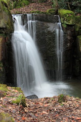 Fototapeta na wymiar wodospady lumsdale, Matlock, Derbyshire