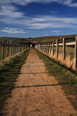 Obraz premium Walkers on the North Yorkshire Coastal Path