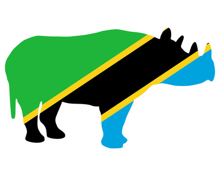 Tansania Büffel