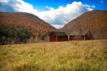 Fototapeta na wymiar Two Barns in the Meadows of the Catskill Mountains