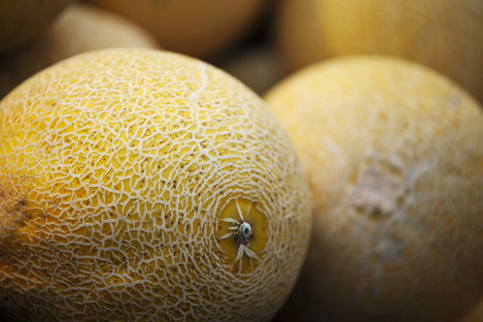 Melony Images – Browse 53 Stock Photos, Vectors, and Video | Adobe Stock