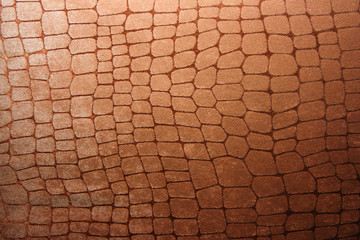 Snake  (python, boa) or crocodile leather skin imitation