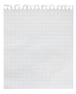 Squared paper loose-leaf note sheet isolated on white