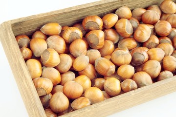 hazelnuts