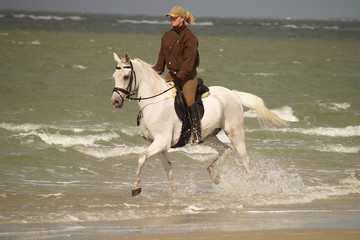 Trab im Meer