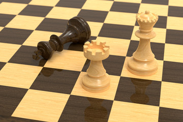 Checkmate on wooden board