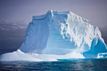 Foto op Plexiglas Antarctic iceberg © Goinyk