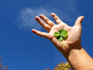 four-leaf clover in the human hand