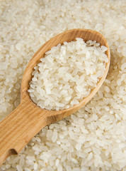 rice grain in spoon
