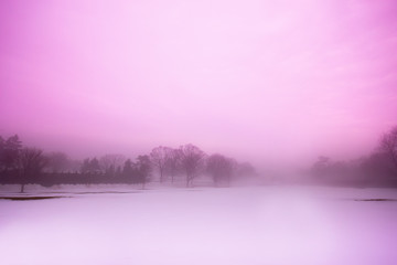Foggy Winterscape