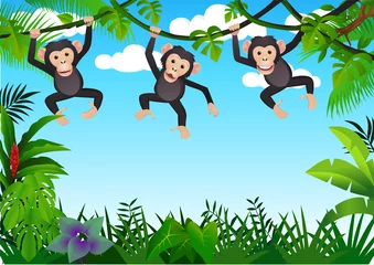 Crédence de cuisine en verre imprimé Zoo Chimpanzé dans la jungle