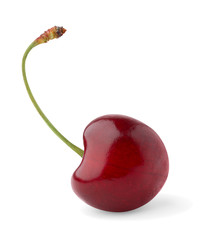 Isolated cherry. One sweet cherry isolated on white background