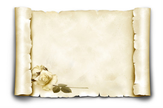 Papierrolle 16