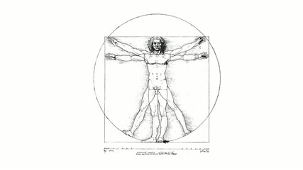 Vitruvian Man (DaVinci) spin swivel on white background