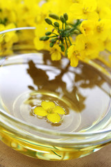 edible oil