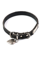 old and dirty dogs collar
