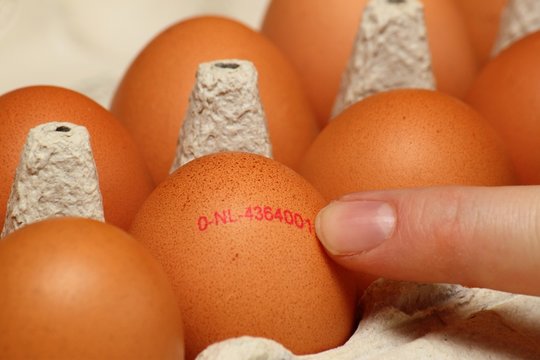Kennzeichnung auf einem Bio-Ei