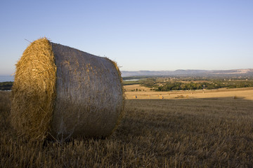 Pomeriggio estivo