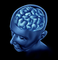 Obraz premium brain lobe sections divisions of mental neurological isolated