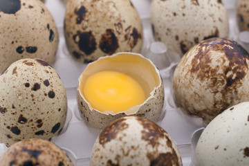 Quail eggs pack