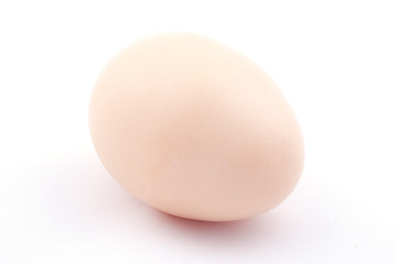 Chicken egg