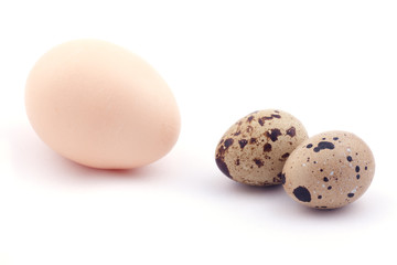 Chicken and quail eggs