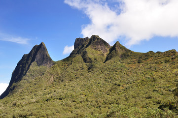 Fototapeta premium col des boeufs