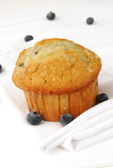 Blueberry Muffin