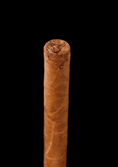 one cuban cigar