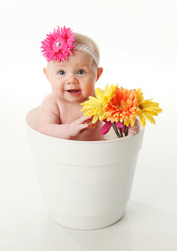 Baby girl in a flower pot