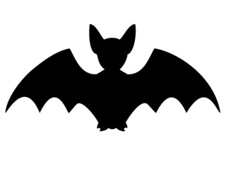 Silhouette of bat