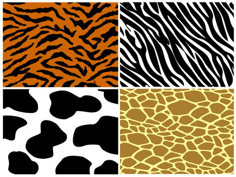 Tiger, zebra, cow and giraffe print