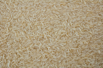 close up of rice gain