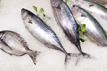 fresh fish on ice for selling at the market