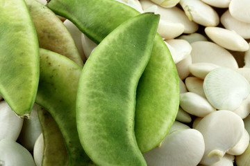 pois du Cap