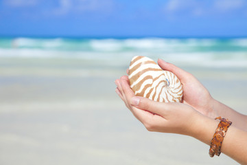 girls hands holding nautilus shell against sea and sky