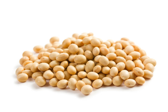 soya beans on white background