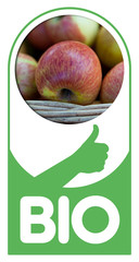 Bio pomme fruit alimentation sain santé alimentaire