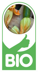 Bio légume courgette alimentation sain santé alimentaire