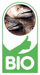Bio poisson pêche alimentation sain santé alimentaire