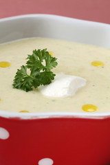 Vegetable cream soup
