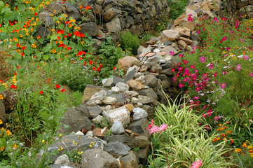 Garten auf Madeira