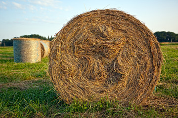 Hay bales