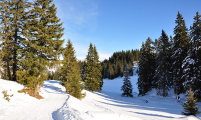 flumserberg...suisse alpine